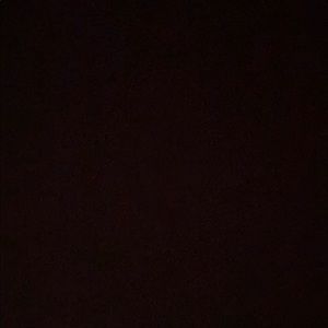 Meet your Posher, Ava